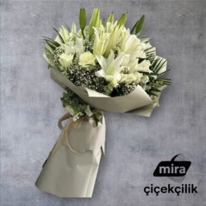 WhatsApp Image 2026-01-22 at 12.00.19