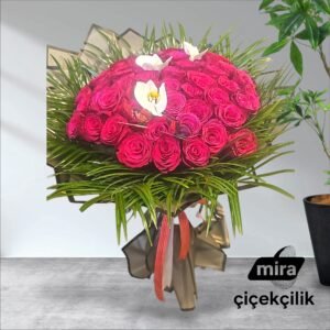 WhatsApp Image 2026-01-22 at 12.00.22