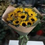 WhatsApp Image 2026-01-22 at 12.00.27 (1)