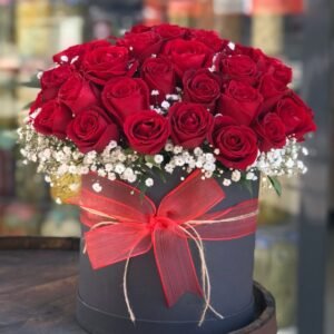 WhatsApp Image 2026-01-22 at 12.00.27 (1)