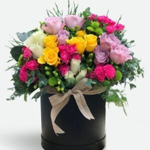 WhatsApp Image 2026-01-22 at 12.00.27 (2)