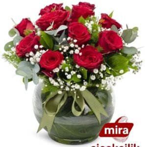 WhatsApp Image 2026-01-22 at 12.00.28 (6)