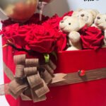 WhatsApp Image 2026-01-28 at 14.08.59 (2)