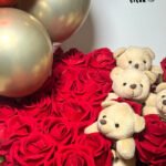 WhatsApp Image 2026-01-28 at 14.08.59 (3)