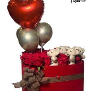 WhatsApp Image 2026-01-28 at 14.08.59 (4)