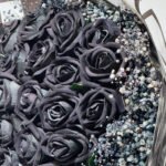 WhatsApp Image 2026-01-28 at 14.09.06