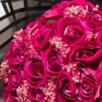 WhatsApp Image 2026-01-28 at 14.09.07 (1)