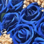 WhatsApp Image 2026-01-28 at 14.09.08 (2)