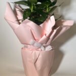 WhatsApp Image 2026-01-28 at 14.09.09 (1)