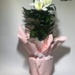 WhatsApp Image 2026-01-28 at 14.09.09 (3)