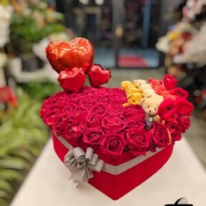 WhatsApp Image 2026-02-09 at 23.33.20 (1)