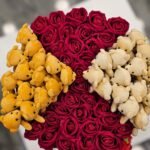 WhatsApp Image 2026-02-09 at 23.35.30