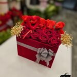 WhatsApp Image 2026-02-09 at 23.41.22 (1)