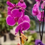 WhatsApp Image 2026-02-10 at 19.38.44 (1)