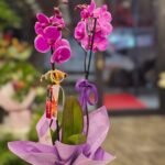 WhatsApp Image 2026-02-10 at 19.38.44