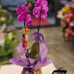 WhatsApp Image 2026-02-10 at 19.38.44 (2)