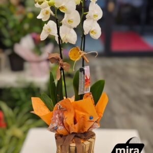 WhatsApp Image 2026-02-10 at 19.38.45 (1)