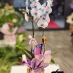 WhatsApp Image 2026-02-10 at 19.38.47 (1)