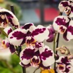 WhatsApp Image 2026-02-10 at 19.38.48 (2)