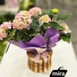 WhatsApp Image 2026-02-10 at 19.38.50 (1)