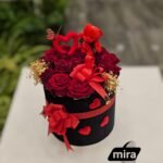 WhatsApp Image 2026-02-10 at 19.38.51 (1)