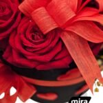 WhatsApp Image 2026-02-10 at 19.38.51 (2)