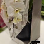 WhatsApp Image 2026-02-10 at 20.53.14 (4)