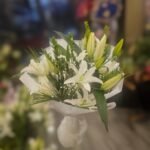 WhatsApp Image 2026-02-11 at 21.46.01 (1)