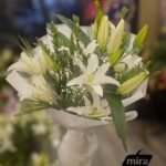 WhatsApp Image 2026-02-11 at 21.46.01 (2)