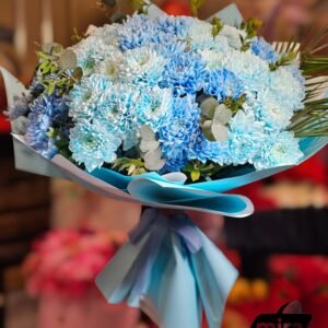 WhatsApp Image 2026-02-11 at 21.46.01