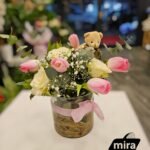 WhatsApp Image 2026-02-11 at 21.46.03 (1)