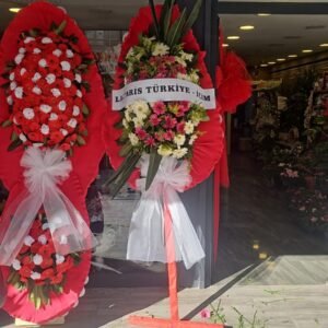 WhatsApp Image 2026-04-10 at 12.02.36